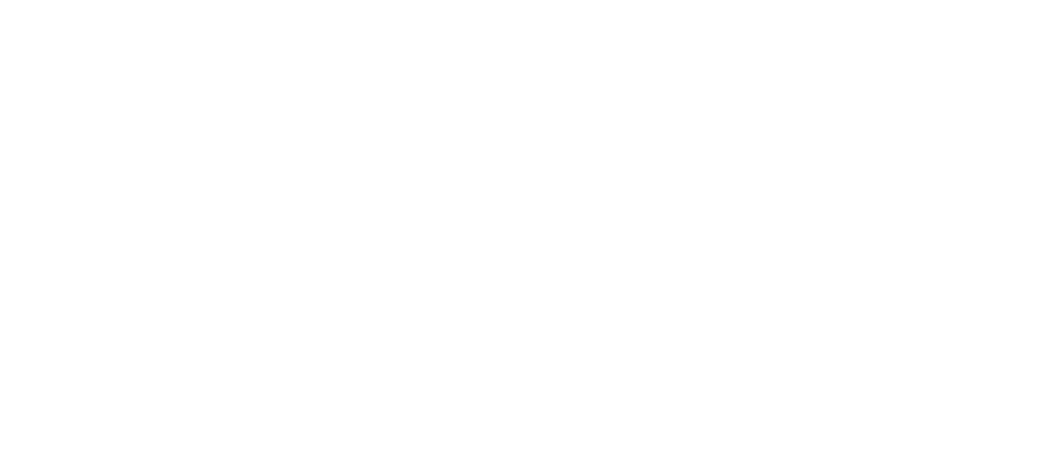 Ottit